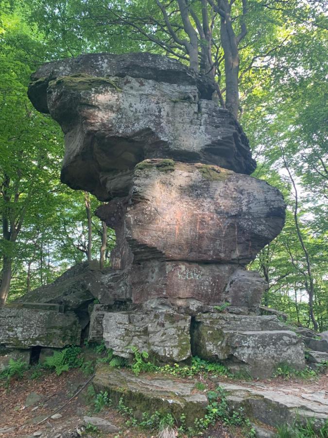 Schronisko Gorskie Pttk Na Jaworzynie Krynickiej Krynica Zdroj Dış mekan fotoğraf