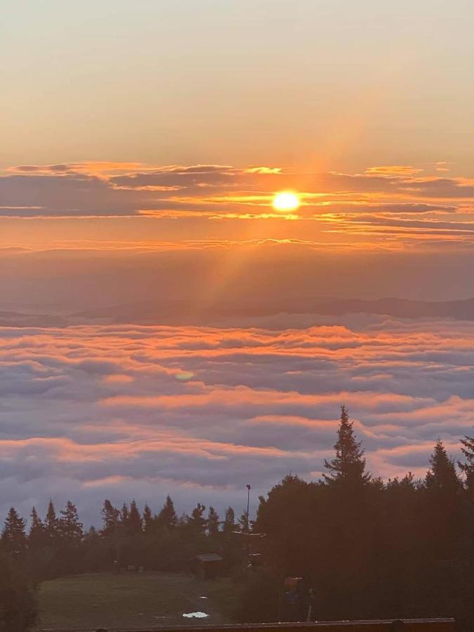 Schronisko Gorskie Pttk Na Jaworzynie Krynickiej Krynica Zdroj Dış mekan fotoğraf